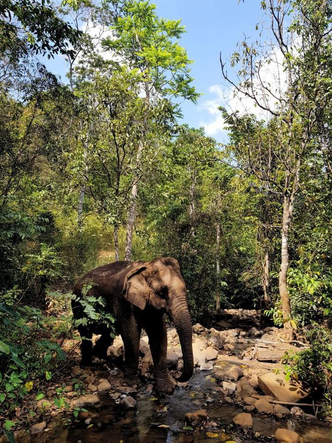 Srey Leap Homestay Banlung 外观 照片
